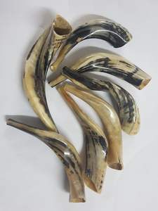 La mejor calidad Ram Horn Shofar Cuerno natural Shofar para soplar y propósito religioso Kosher Shofar Pulido Ram Sheep Horn - Product Image 2