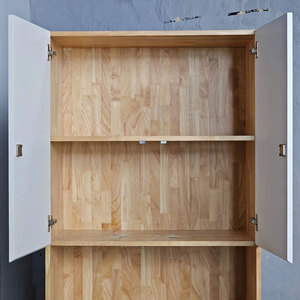 2-Door Rubber Wood <b>Metal</b> File <b>Cabinet</b> 80x40x220cm <b>Lockable</b> & Adjustable Modern Minimalist Design for Workshops THS68011 - Product Image 6