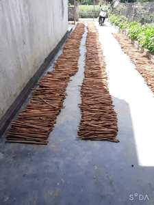 Buena especia con palitos de canela de Vietnam - Product Image 6