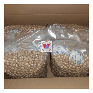 2024ขายดี | เมล็ดซาชาอินจิแห้งเมล็ดชาอินจิแท้ - Product Image 3