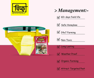 Pheronone Lure Funnel Trap para Pink Bollworm PBW Insectos Herramienta de control de plagas agrícolas - Product Image 2