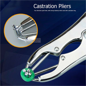 Elastrator de acero inoxidable castrador instrumento veterinario - Product Image 5