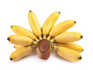 Wholesale High Quality Natural <b>Banana</b> Fruit <b>Banana</b> <b>Fresh</b> <b>Banana</b> - Product Image 5