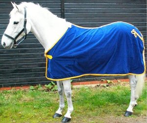 Zwart En Geel Zomerpolar Fleece Paardenkleden 100% Zacht Ademend Lichtgewicht Voor Comfortabel Paardrijden En Stabiel Gebruik - Product Image 6