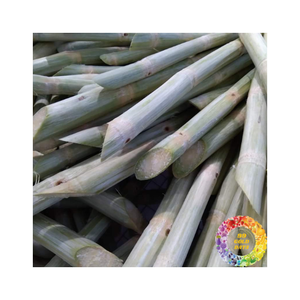 Bâtonnets de canne à sucre congelés de qualité supérieure 100 pour cent frais goût naturel jus sucré idéal pour les boissons smoothies cocktails partout - Product Image 5