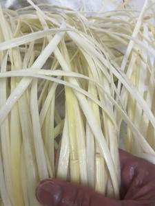 เปลือกหวายธรรมชาติสำหรับทำเฟอร์นิเจอร์และตะกร้า DIY - Product Image 6