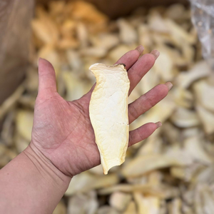 KING OYSTER CHAMPIGNON/CULTÉ FRAIS/PRÊT À CUIRE OU TRAITÉ POUR LA VENTE AU DÉTAIL ET À L'USAGE HORECA - Product Image 3