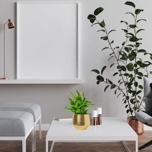 Maceta de metal redonda más vendida para una elegante exhibición de plantas de interior disponible a precio mayorista - Product Image 1