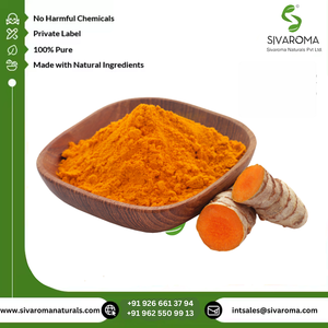 Polvo de extracto seco de curcumina 95% de la mejor calidad, cultivado en estado salvaje, certificado ISO/GMP, directamente exportado desde la India, proveedor de confianza - Product Image 3