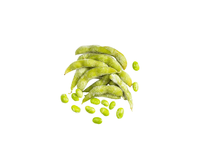 Norme internationale MEILLEURE VENTE Vietnam Fournir EDAMAME ENTIER Naturel Sain dans des sacs en vrac congelés