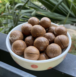 Craquelins de noix de macademia en vrac en vente, haute qualité, meilleur prix, usine au Vietnam, 100% pur, sans gm - Product Image 2