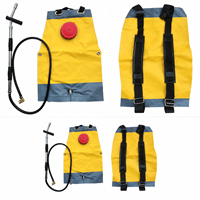 Pulvérisateur dorsal ILOT 20L pour lutte contre les incendies en zone sauvage, pompe à eau pour brumisation, avec coussin et ceinture de maintien, logo personnalisé OEM
