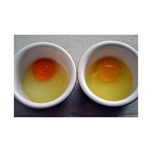 Haute qualité/pureté haute nutrition jaune d'oeuf haut fouet pour la fabrication de produits de soins sains - Product Image 6