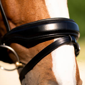 Brida snaffle - Product Image 4