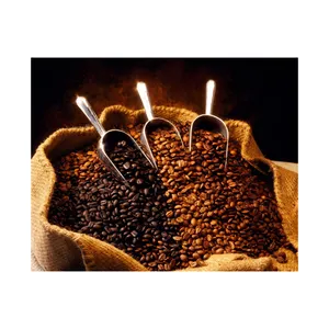 Granos de café crudos de alta calidad al por mayor directamente de granos de café verde árabe 100% de grado agrícola