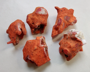 Corail naturel italien brut | Récif de corail rouge | Pierre précieuse de corail brut non polie de corail rouge de la mer Méditerranée - Product Image 6