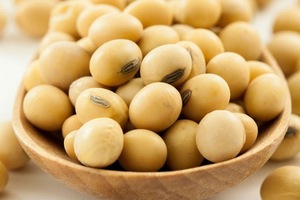 BUY Factory Wholesale Organic <b>Soybeans</b> Non Gmo Soy Top Grade Yellow <b>Soybeans</b> With High Protein - Product Image 3