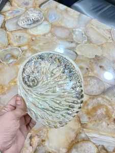 Very Attractive Natural Polished Mother of Pearl Abalone Shells Ideal for Resale by Native Jewelry and Costume Designers - Product Image 3