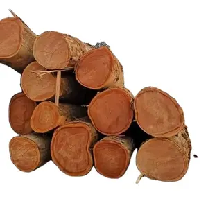 wood logs IROKO/rosewood/doussie/IROKO hardwood Siberian Larch Sawn Timber Logs For Sale