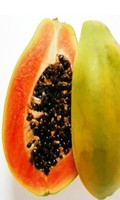 IQF Diepvries Dwergpapaya en Rode Papaya F1 Voedzaam met waterbehoud en bulkverpakkingen tegen de beste prijs