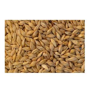 ข้าวบาร์เลย์ยูเครน - Product Image 1