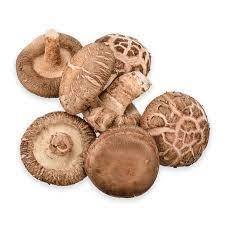 Seta de Shiitake seca de alta calidad, tallo de pierna, seta Shiitake - Product Image 2