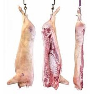 Carne de Cerdo Fresca Congelada de Alta Calidad, Patas Delanteras de Cerdo y Patas Traseras de Cerdo Congeladas Grado A 20 kg - Product Image 1