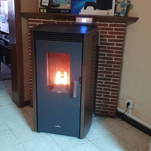 Deerfield Poêles à granulés de bois en fonte autoportants modernes de qualité supérieure pour villas avec expédition rapide dans le monde entier - Product Image 1