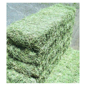 Heno de Alfalfa Verde Fresco de Primera Calidad, Alto en Fibra, Ingredientes 100% Naturales, Alimento Nutritivo para Ganado y Caballos, Vida Útil de 24 Meses - Product Image 3