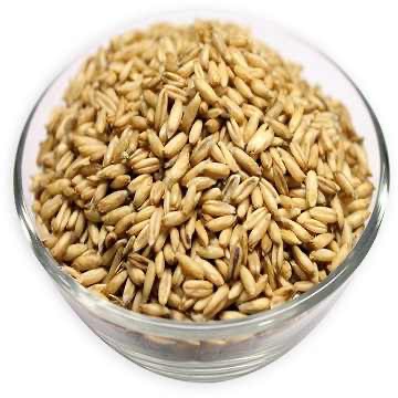 Organic Dried Hulled Barley Grain Cheap Price Organic Barley Malt Grain