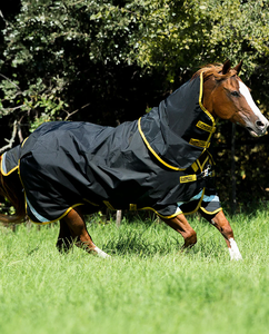 Weichen decke für Pferde mit abnehmbarer Hals abdeckung Wasserdichtes, weich gefülltes Weichen blatt für den Außenbereich mit verstellbaren Trägern für Pferde - Product Image 5