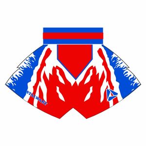 Venta caliente 2025 de alta calidad Muay Thia Shorts Boxing Short Custom MMA Factory Made Kickboxing Thai Shorts - Product Image 4