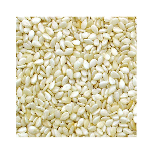 Graines de sésame naturelles brutes à prix avantageux, 100 % pures, blanches et décortiquées, en vrac - Product Image 2