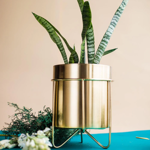 Macetas redondas decorativas de metal en oro para casas y jardines modernos Incluye soporte de hierro para exhibición de plantas Ideal para sala de estar - Product Image 6