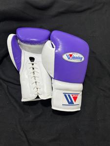 Nuevo Equipo de Boxeo Estilo de arte marcial Ganador Boxeo Perforación Lucha Sparring Competencia profesional Guantes de boxeo de alta calidad. - Product Image 5