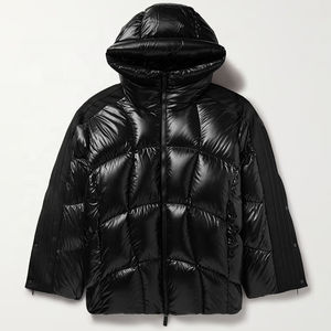 2026 Veste polaire d'extérieur surdimensionnée en coton et mousse, imperméable, à col montant, pour l'hiver, design personnalisé, vente en gros, OEM personnalisé, bambou - Product Image 1