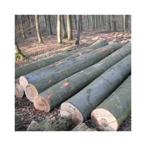Fendeuse de bûches de bois Machine à fendre le hêtre à vendre Acier à haute teneur en carbone Simple Portable fendeur de bois processeur de bois de chauffage - Product Image 6