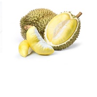 Durian Vers Fruit Premium Biologisch IQF Vacuümverpakt 2kg Hele Vruchten Uit Yala Thailand - De Favoriet van Vele Durianliefhebbers