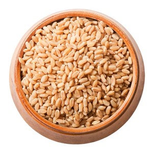 Exportador Mayorista de Grano de Trigo Orgánico Saludable de Alta Calidad, 100% Puro, Nutritivo, Certificado ISO, Grado Industrial - Product Image 3
