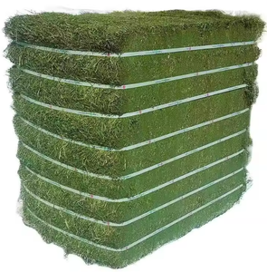 Grade 1 foin de luzerne pour chevaux, bovins, porcs, aliments pour animaux en vrac emballés dans des balles Norme internationale 100% - Product Image 2