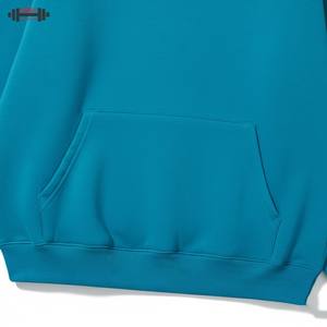 Pull à capuche d'hiver unisexe en gros 300g épais coton surdimensionné personnalisé imprimé en 3D sweat à capuche éponge française 100% g - Product Image 3