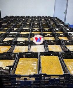 Puré de Maracuyá Congelado de Vietnam |   Directo de Fábrica |   Empaquetado a Granel - Product Image 2