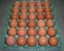 Huevos Frescos de Gallina de Granja, Venta al Mejor Precio - Product Image 6