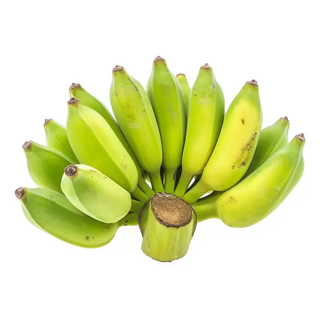 Rotulador de plátano verde/verde fresco, habitación fresca para la venta, plátano cavenlavavajillas de gran tamaño
