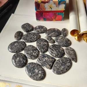 Venta al por mayor de joyería hecha a mano cabujón lote de piedras preciosas crinoides natural fósil mezcla suelta forma crinoides fósil - Product Image 3