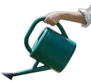 Regadera de jardín de acero Premium Regadera de metal resistente Regadera de acero inoxidable para interiores/exteriores Regadera de acero - Product Image 2