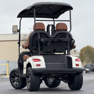 Best 1–2-Seater Electric Off-road Golf Cart/Golf Buggy with Lithium Battery 4KW System Cheap Price Metal Steel <b>Plastic</b> Hunting - Product Image 3