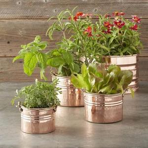 Jardinière exclusive en laiton de qualité supérieure fabriquée à la main pour intérieurs de luxe et jardinière vintage noire en métal pour présentoirs de plantes - Product Image 6