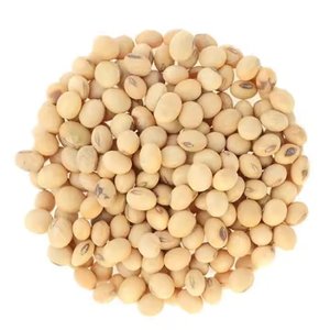 ถั่วเหลืองถั่วเหลืองไม่มีสารจีเอ็มโอจากจีน - Product Image 3