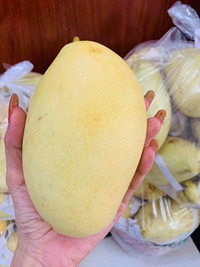 Mangue vietnamienne fraîche mûre, sucrée et juteuse, qualité supérieure, exportation de gros - Product Image 4